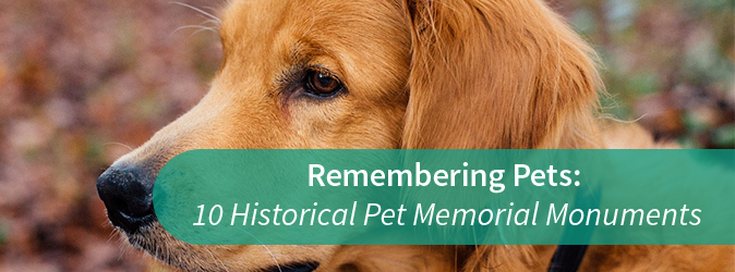 pet historical monuments