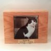 Wooden Cat Urn Memorial Box Front