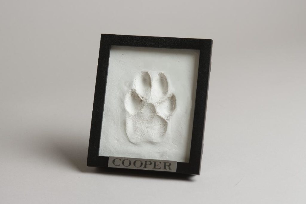 Clay Paw Print Keepsake Dog Cat Paw Print Impression Display   Thumbnail 6 1024x683 