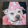 pink dog pet portrait