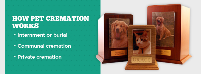 private animal cremation