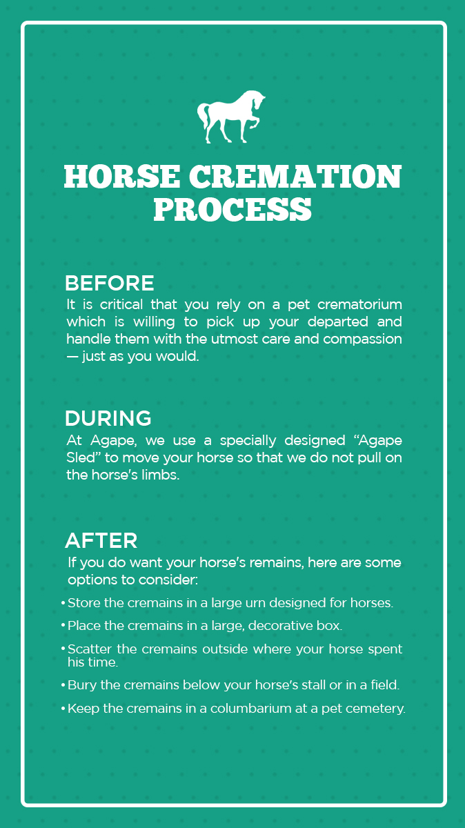 Horse Cremation Process