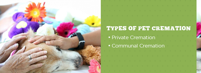 Types of Pet Cremation