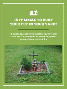  Pet Cremation or Pet Burial Pros Cons of Pet 
