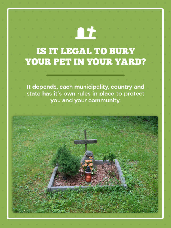 Pet Cremation or Pet Burial? - 04 Is It Legal To Bury Your Pet In Your YarD 600x801