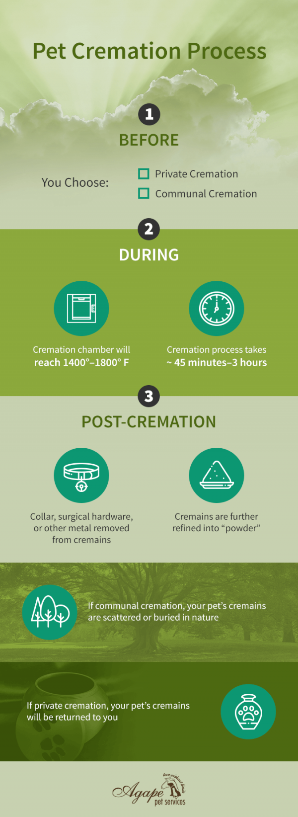 Guide to Pet Cremation How it Works & What To Expect Agape