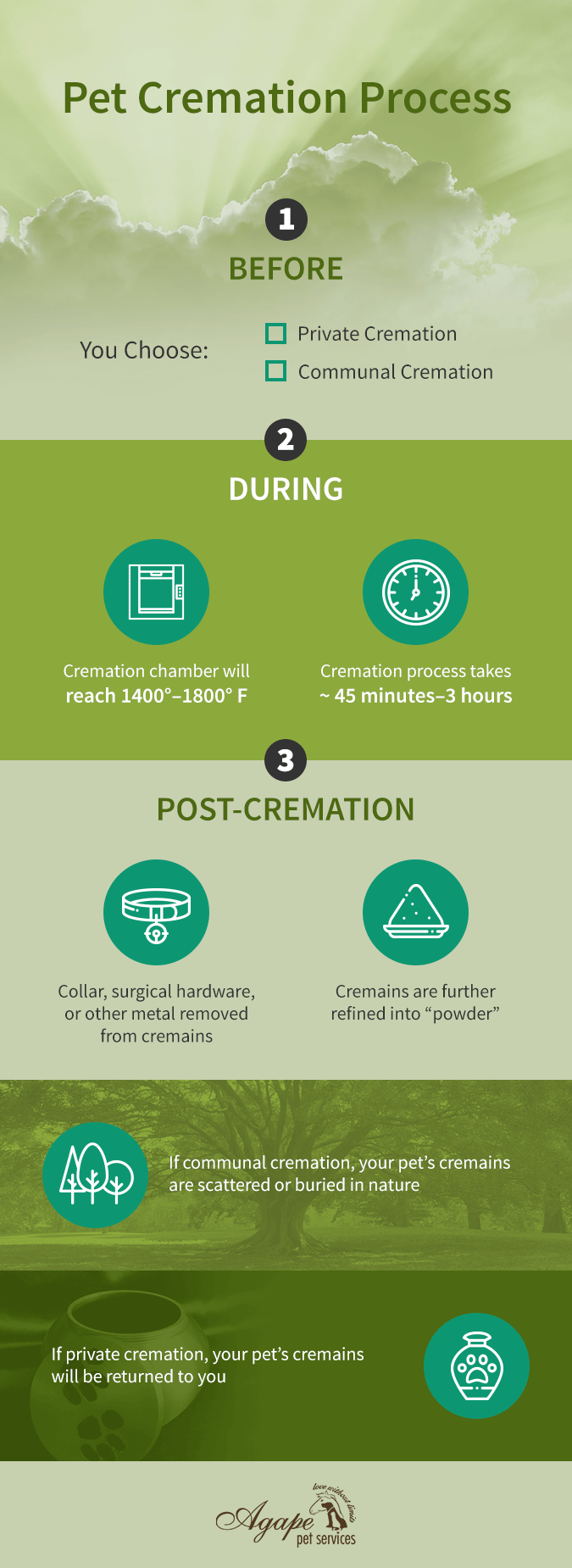 Pet Cremation Process