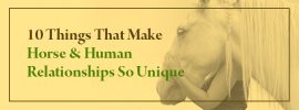 What makes a horse and human relationship special