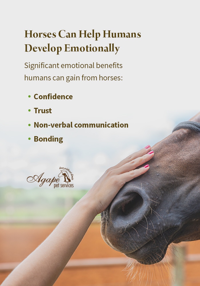 10 Things That Make Horse & Human Relationships So Unique | Agape