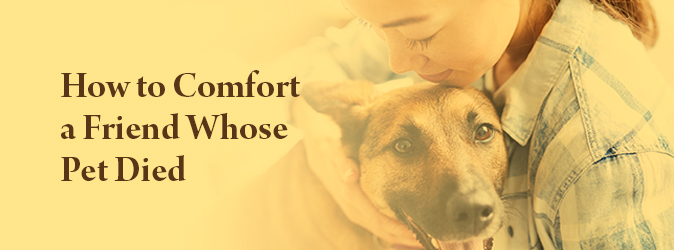 How to Comfort a Friend Whose Pet Died: What You Can Do & Say