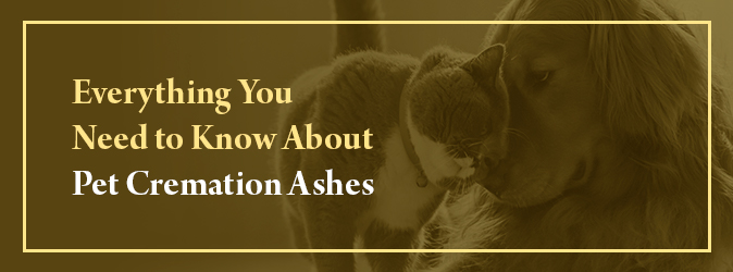 Everything You Need to Know About Pet Cremation Ashes