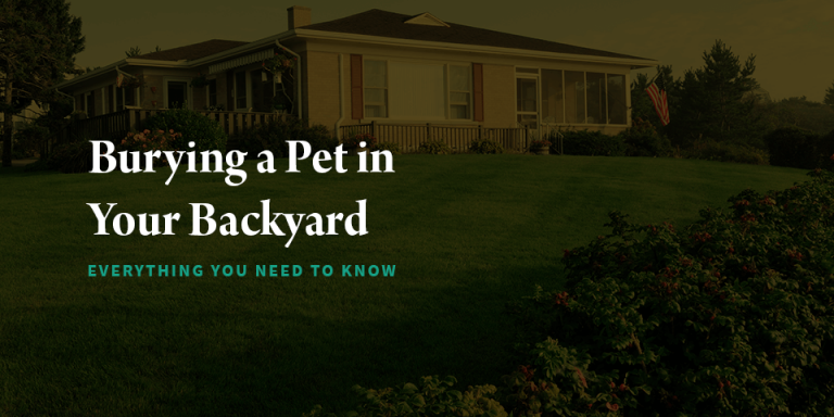 Burying a Pet in Your Backyard: Everything You Need to Know