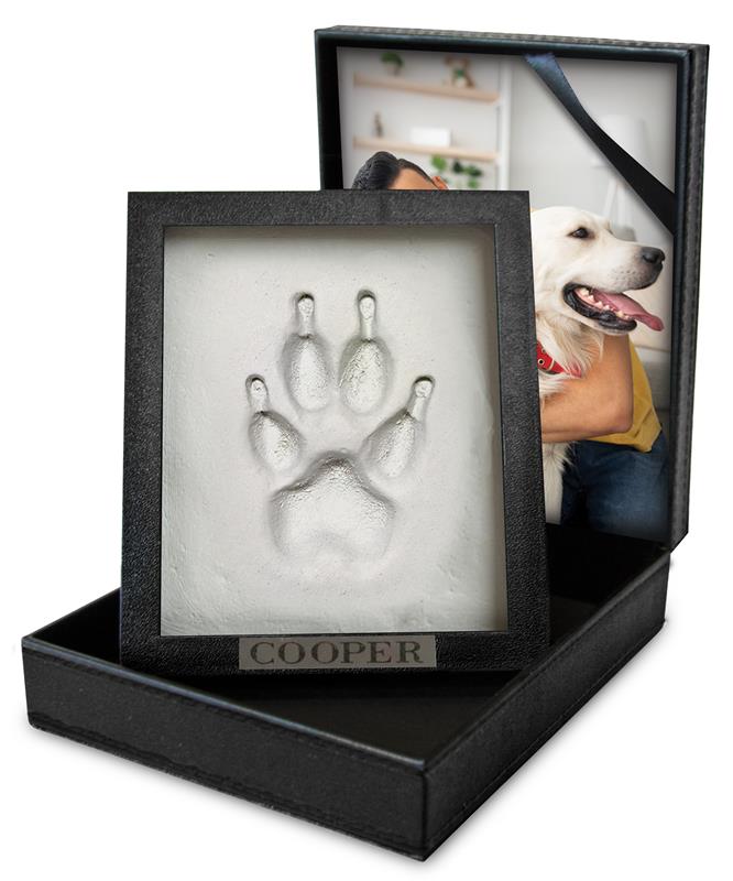 Clay Paw Imprint with Faux Leather Case-image