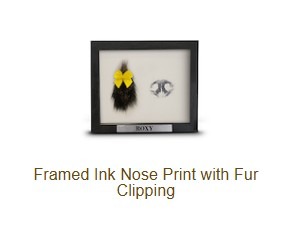 Framed Ink Nose Print with Fur Clipping-image