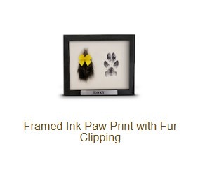 Framed Ink Paw Print with Fur Clipping-image